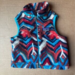 Patagonia Multicolor Fleece Vest